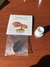 Load image into Gallery viewer, Peak Rebuild Kit - 5x Upgraded heaters, rebuild jig and NOW 5x reusable grommets - Mr. Bonsai
