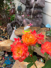 Load image into Gallery viewer, Translucent Pink EF Shredder Peak Glass attachment set - Mr. Bonsai